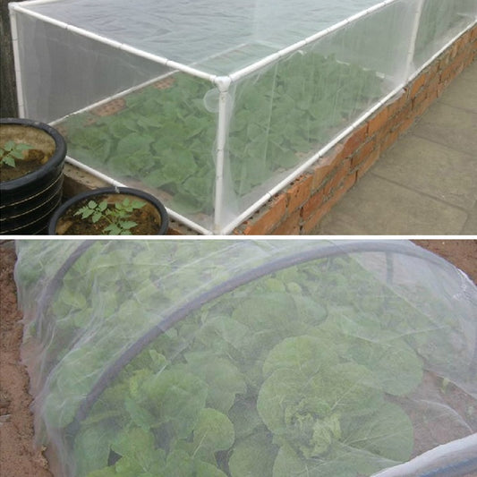 60 Mesh Vegetable Insect and Bird Protection Net - Greenhouse Net