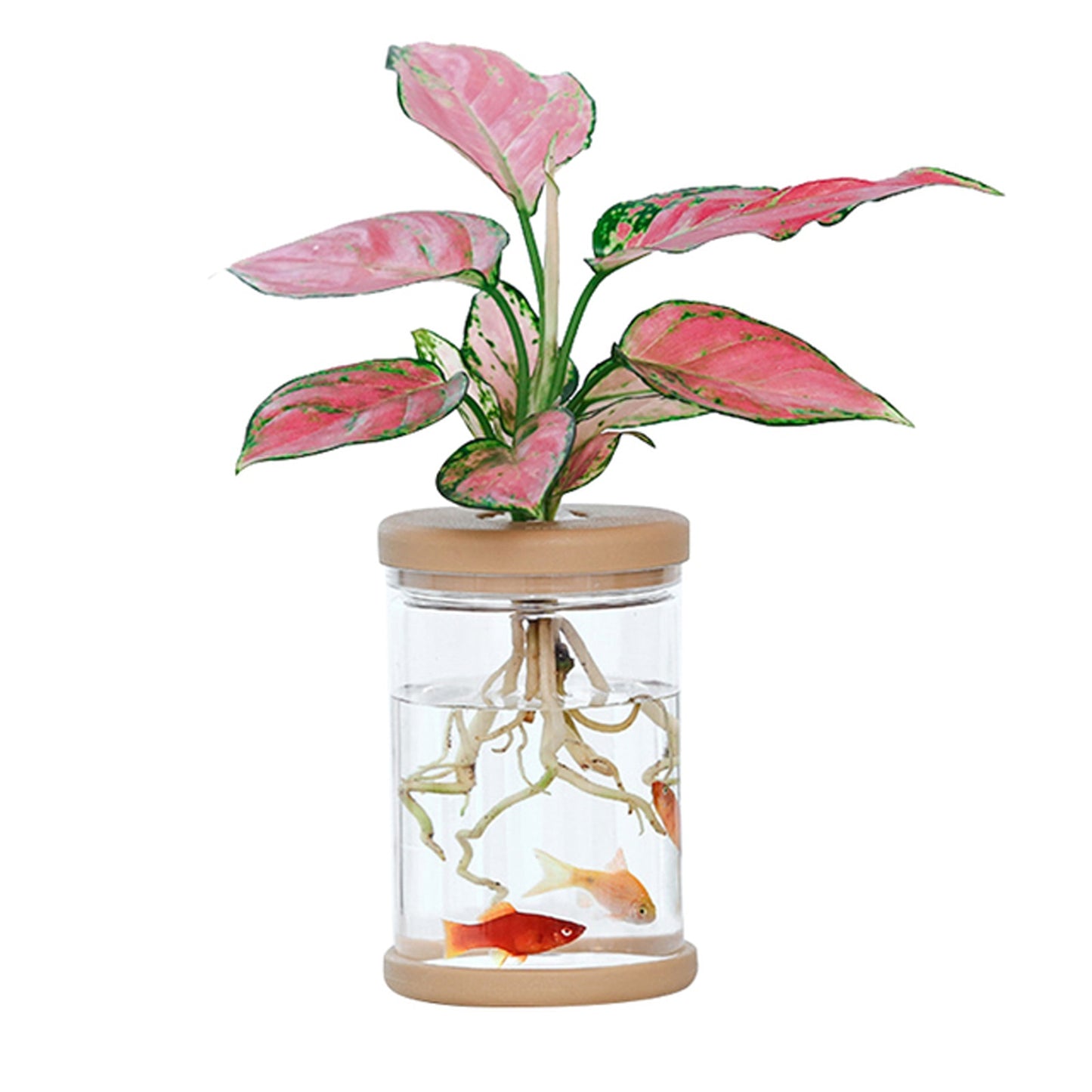Wood Glass Plant Pot with Cover