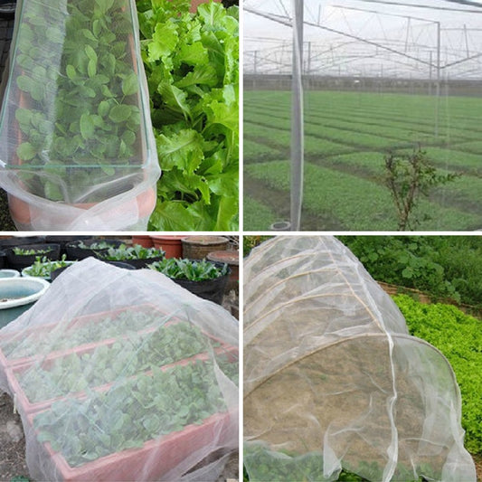 60 Mesh Vegetable Insect and Bird Protection Net - Greenhouse Net