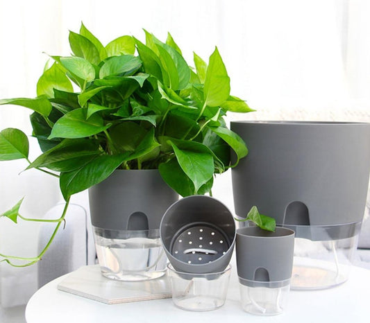 The Lazy Gardener Pot