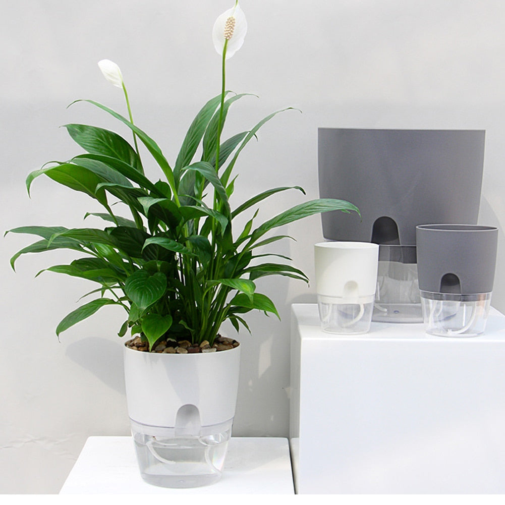 The Lazy Gardener Pot