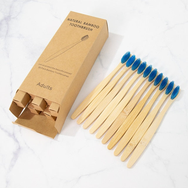 Bamboo Biodegradable Toothbrush Set (10)