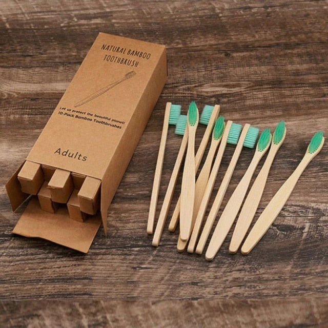 Bamboo Biodegradable Toothbrush Set (10)