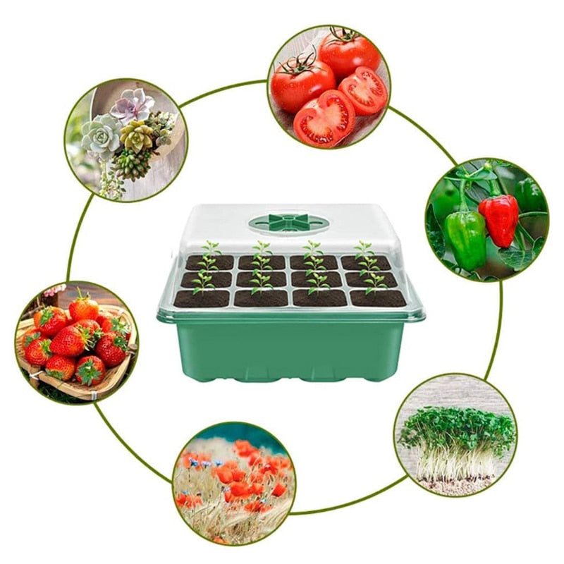 Seed Starter Trays