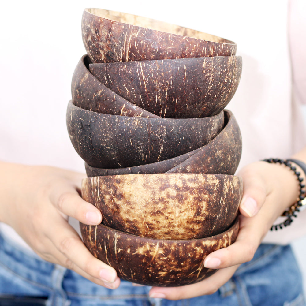 Eco Coconut Bowl and Matching Spoon Set (12-15cm)