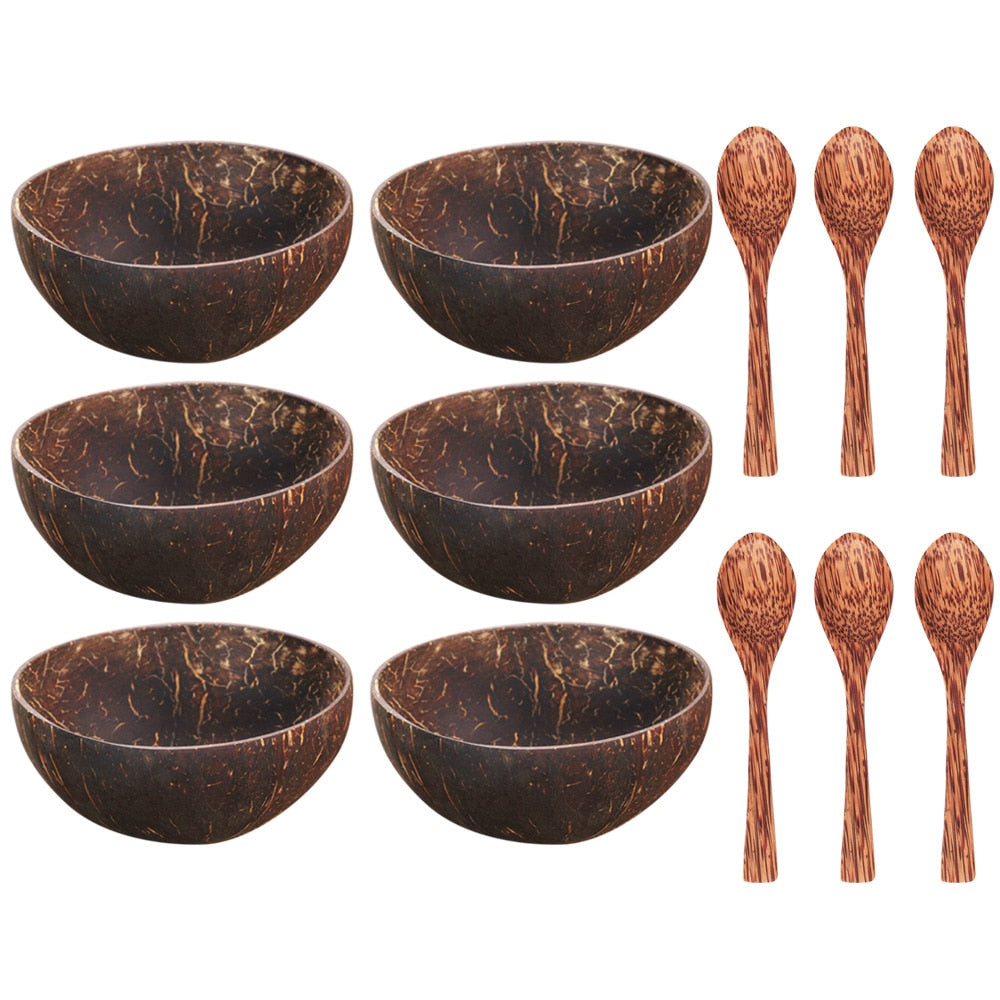 Eco Coconut Bowl and Matching Spoon Set (12-15cm)