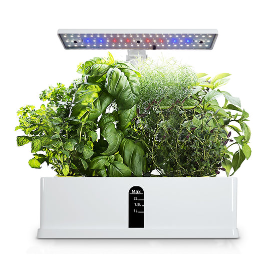 Indoor Hydroponics Garden Kit - LED & Water Pump