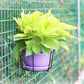 Iron Hanging Plant Basket
