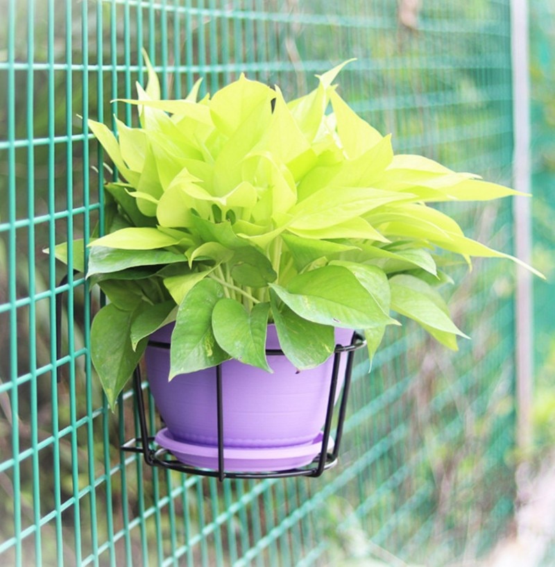 Iron Hanging Plant Basket