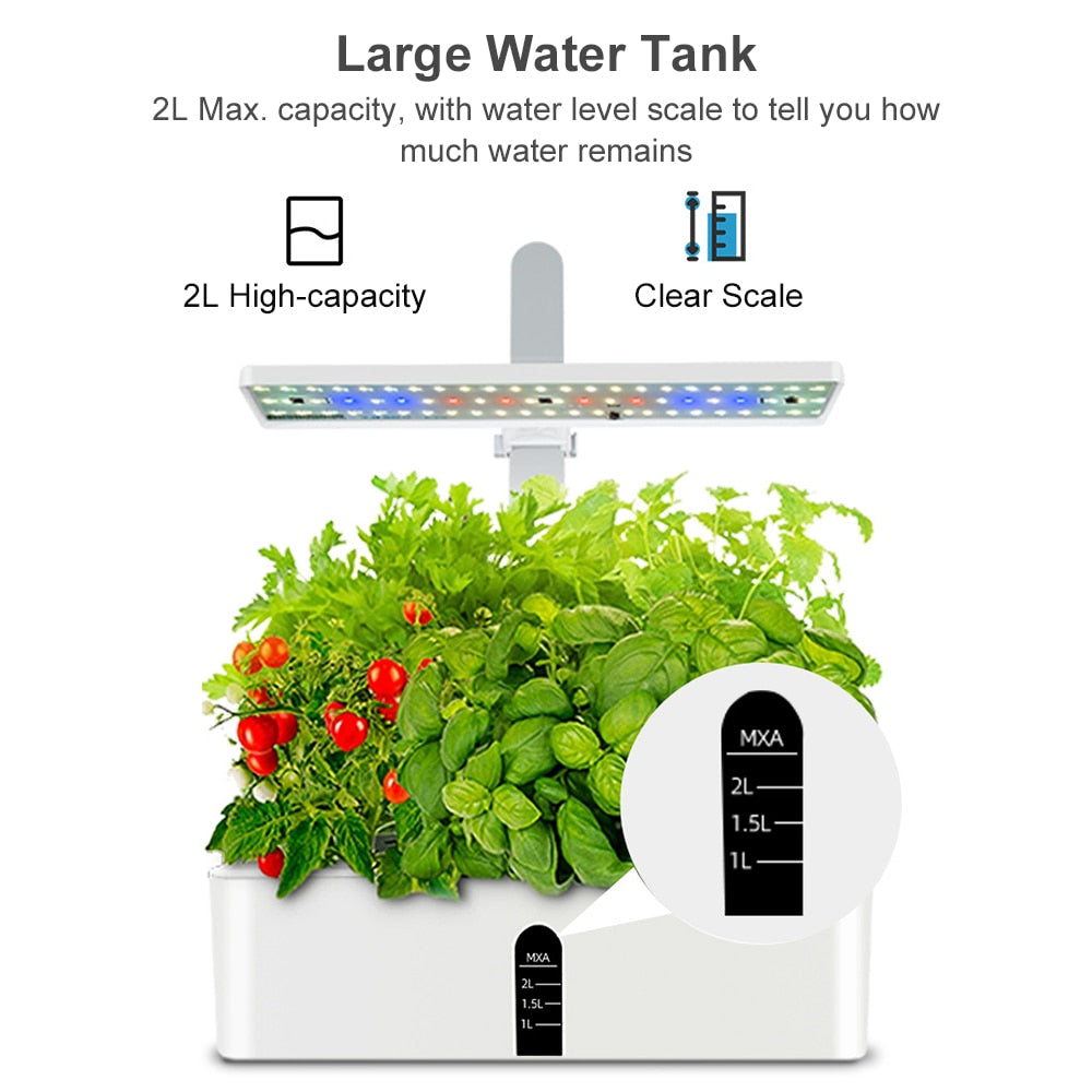 Indoor Hydroponics Garden Kit - LED & Water Pump