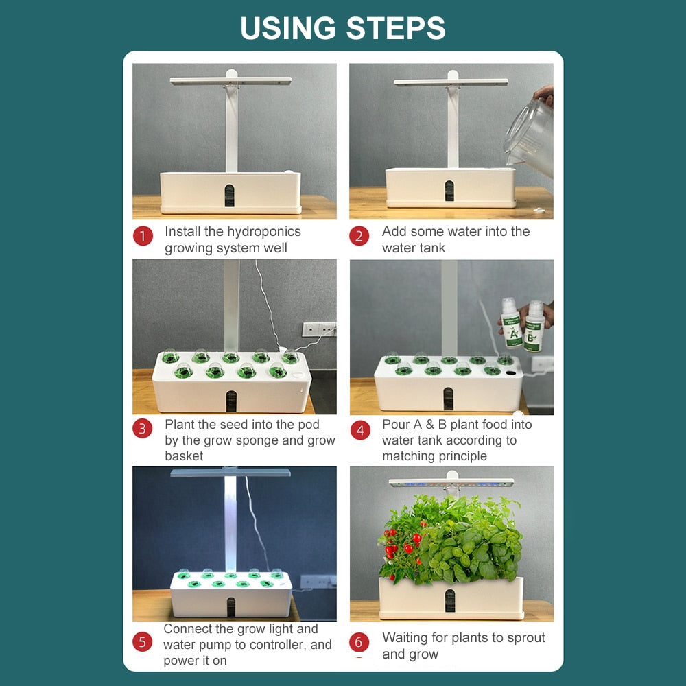 Indoor Hydroponics Garden Kit - LED & Water Pump