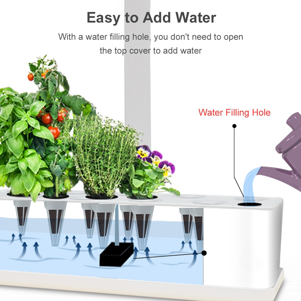 Indoor Hydroponics Garden Kit - LED & Water Pump