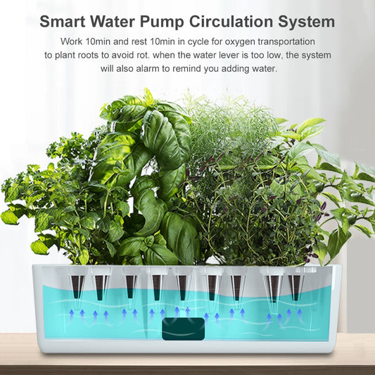 Indoor Hydroponics Garden Kit - LED & Water Pump