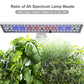 Indoor Hydroponics Garden Kit - LED & Water Pump