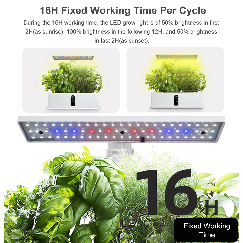 Indoor Hydroponics Garden Kit - LED & Water Pump