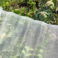 60 Mesh Vegetable Insect and Bird Protection Net - Greenhouse Net